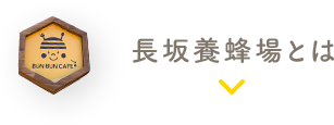 長坂養蜂場とは