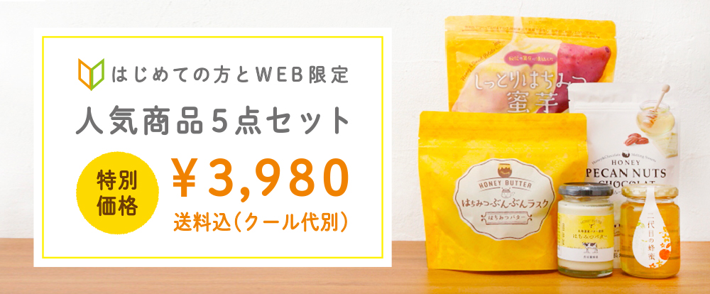 はじめての方とWEB限定　人気商品５点セット　¥3,980　送料込み