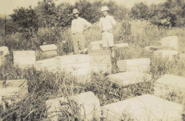 長坂養蜂場の歴史