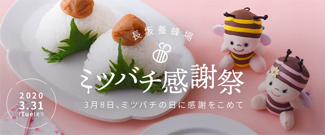 長坂養蜂場 ミツバチ感謝祭 3月8日、ミツバチの日に感謝をこめて 2020.3.31(tue)まで