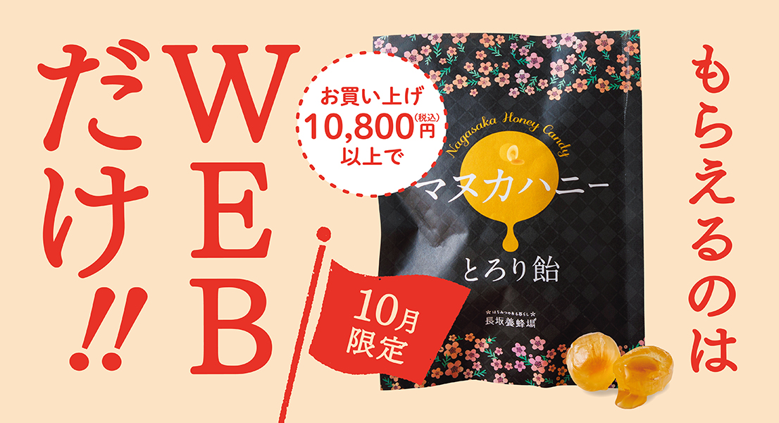 10月限定 もらえるのはWEBだけ!!