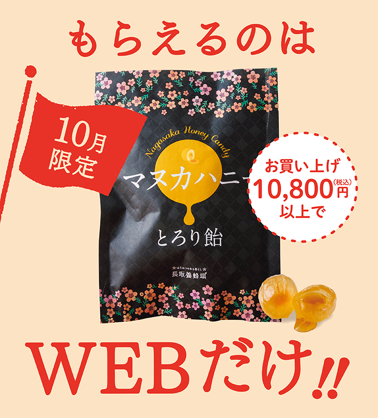 10月限定 もらえるのはWEBだけ!!