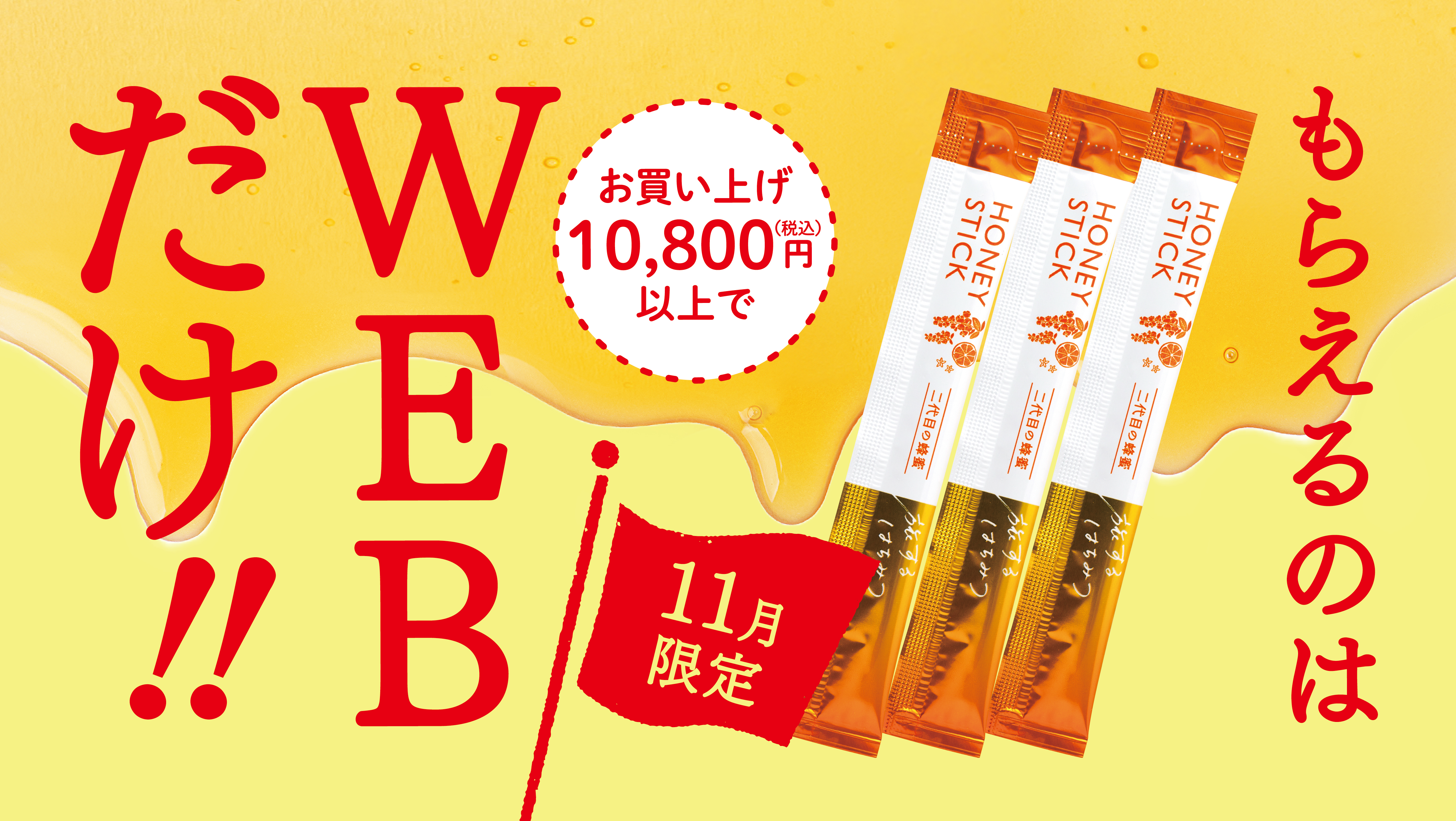 11月限定 もらえるのはWEBだけ!!