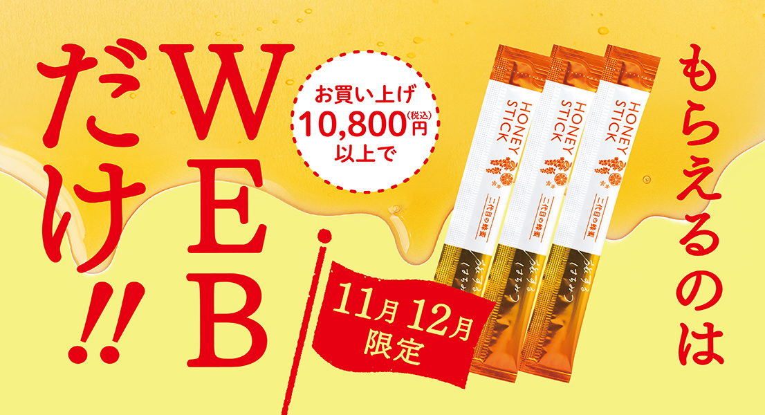 11月限定 もらえるのはWEBだけ!!