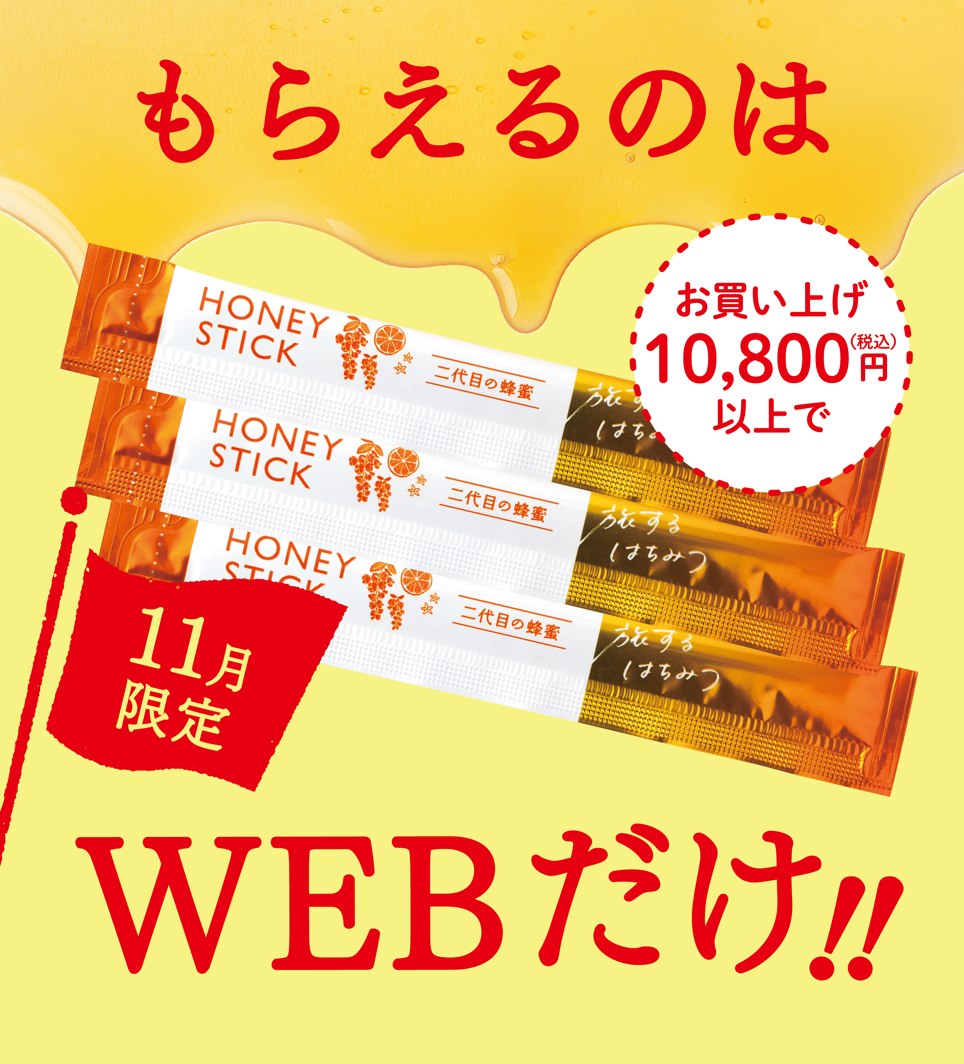 11月限定 もらえるのはWEBだけ!!