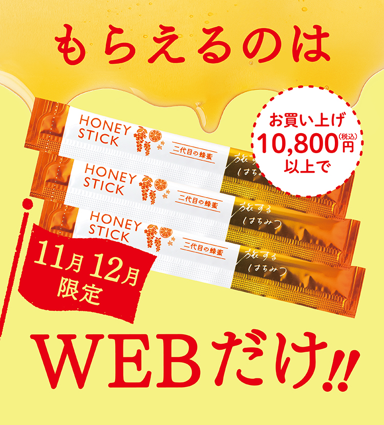 11月限定 もらえるのはWEBだけ!!