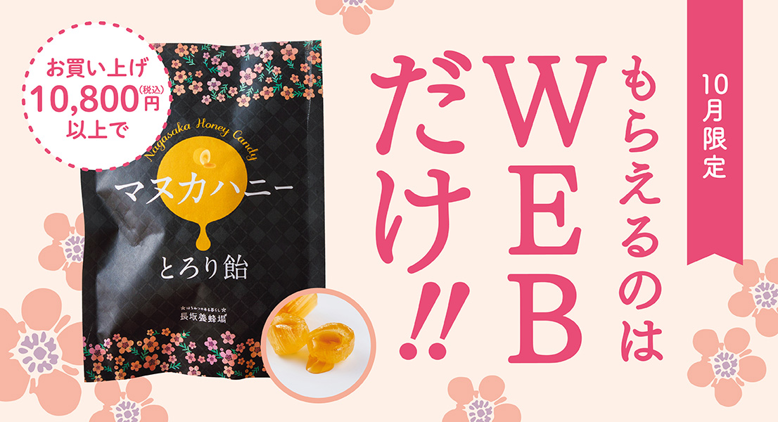 10月限定 もらえるのはWEBだけ!!