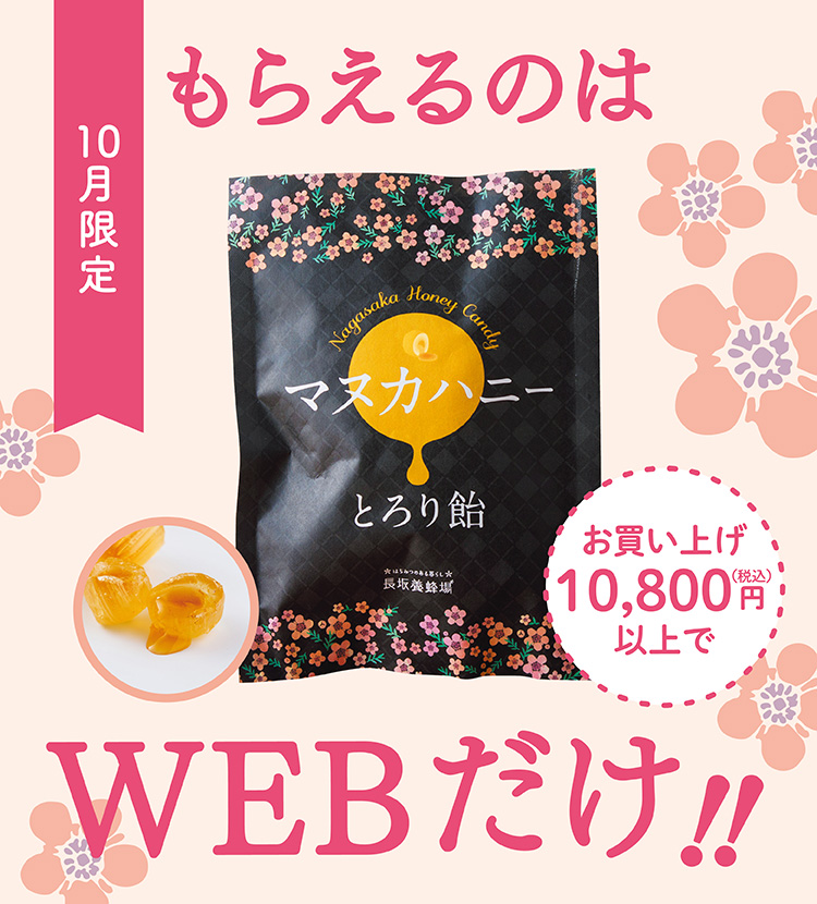 10月限定 もらえるのはWEBだけ!!