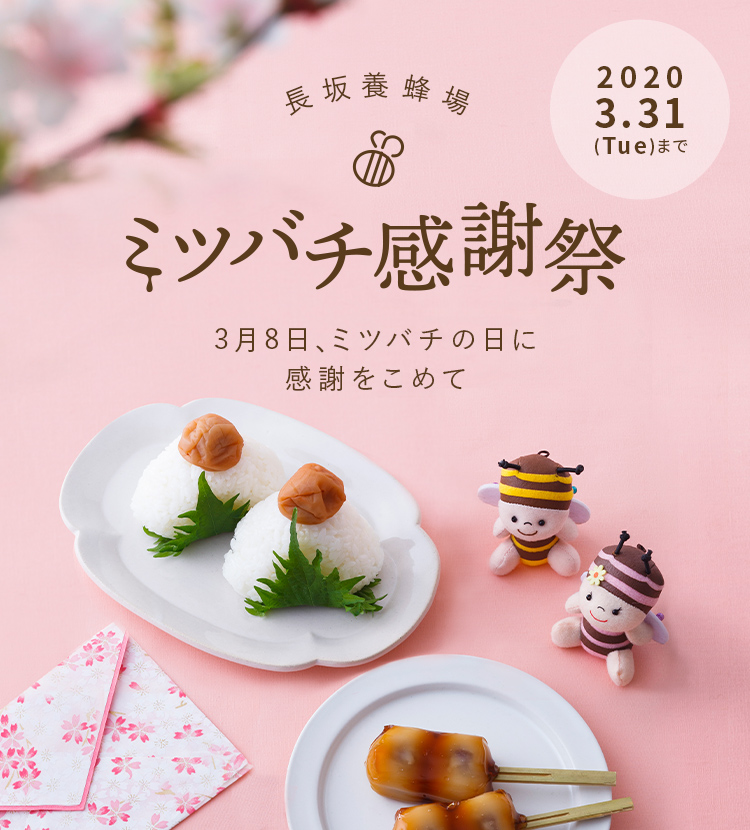 長坂養蜂場 ミツバチ感謝祭 3月8日、ミツバチの日に感謝をこめて 2020.3.31(tue)まで