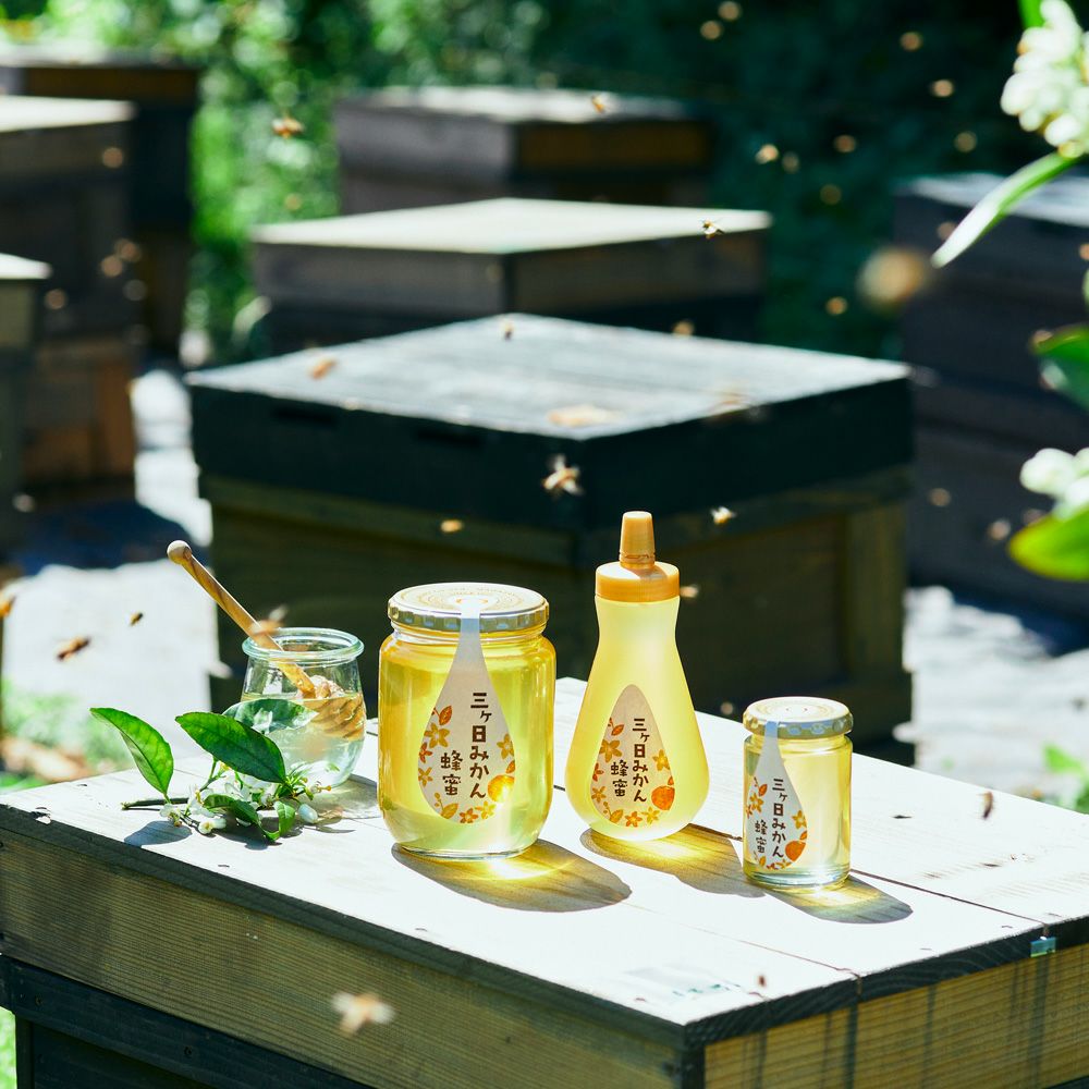 国産三ヶ日みかん蜂蜜 450gボトルタイプ