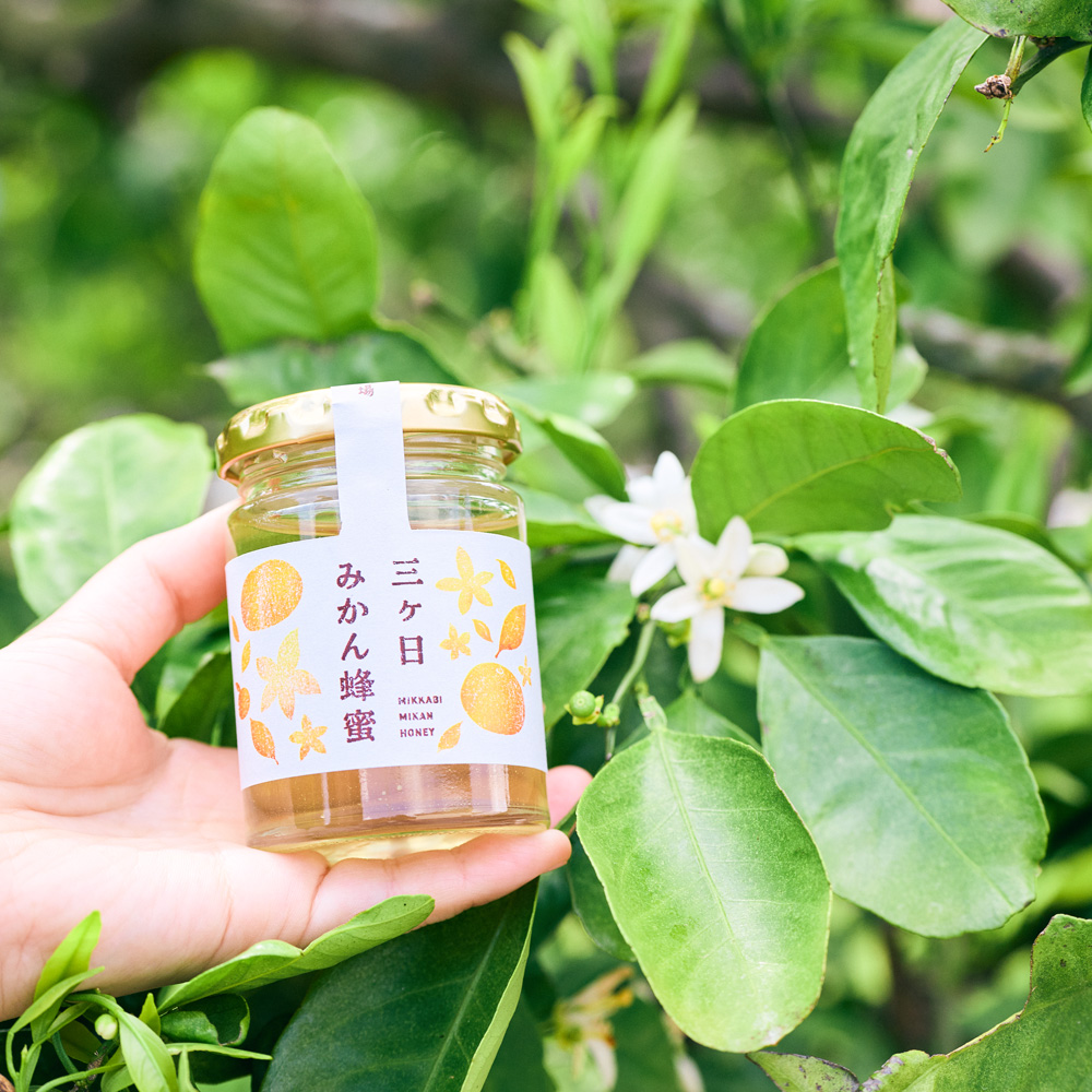 国産三ヶ日みかん蜂蜜 450gボトルタイプ