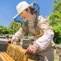 国産三ヶ日みかん蜂蜜 850g