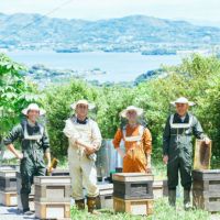 国産三ヶ日の里山蜂蜜 200g