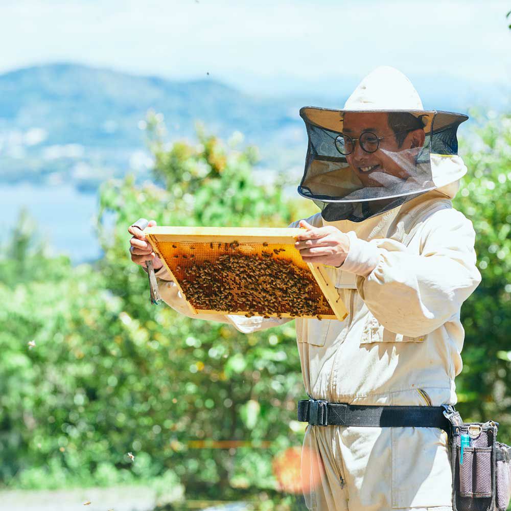 国産三ヶ日の里山蜂蜜 450gボトルタイプ