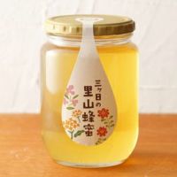 国産三ヶ日の里山蜂蜜 850g