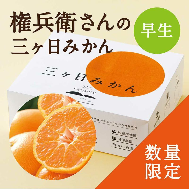 権兵衛さんの三ヶ日みかん 早生品種の通販｜はちみつ専門店　長坂養蜂場