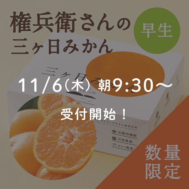 権兵衛さんの三ヶ日みかん 早生品種