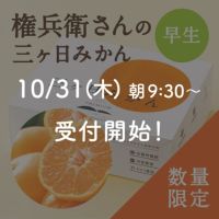 権兵衛さんの三ヶ日みかん 早生品種