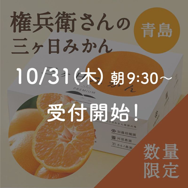 権兵衛さんの三ヶ日みかん 青島品種