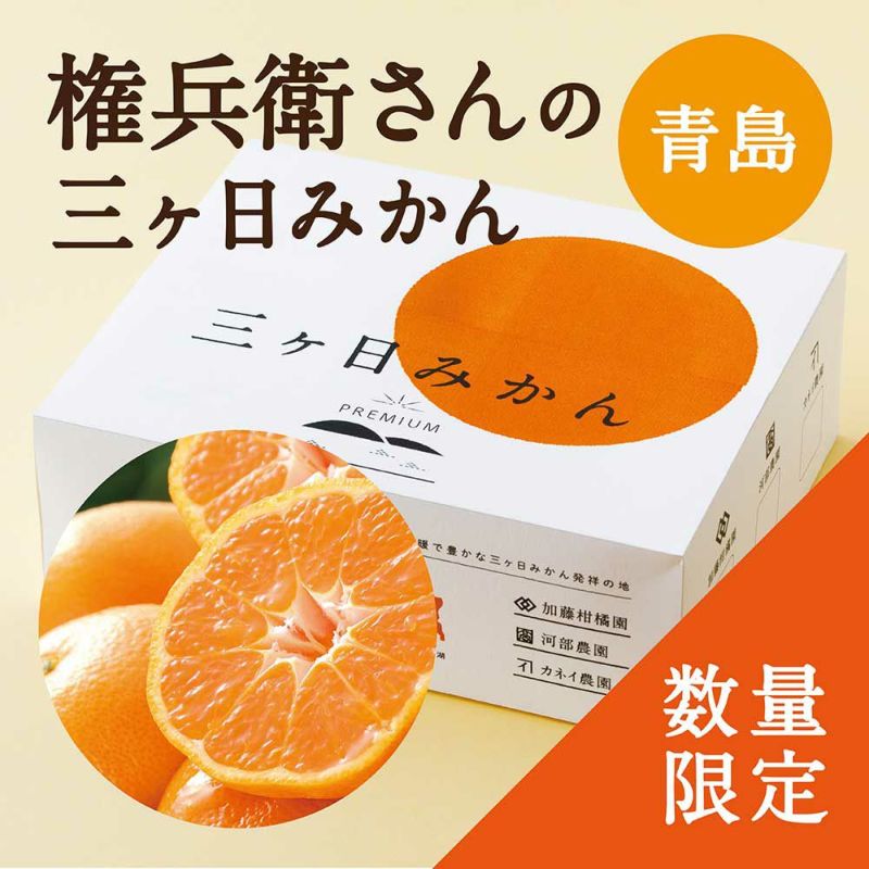 権兵衛さんの三ヶ日みかん 青島品種