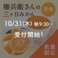 権兵衛さんの三ヶ日みかん 青島品種