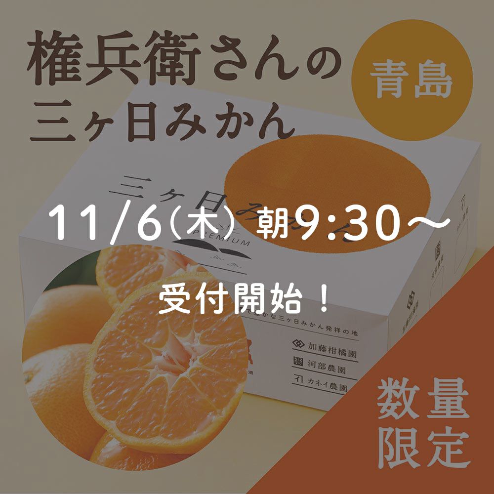権兵衛さんの三ヶ日みかん 青島品種
