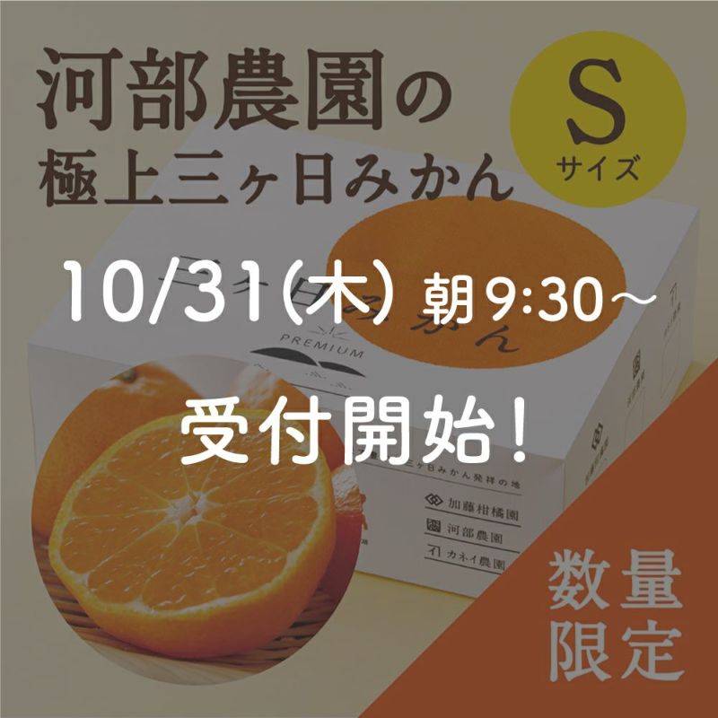 河部農園の極上三ヶ日みかん Sサイズ