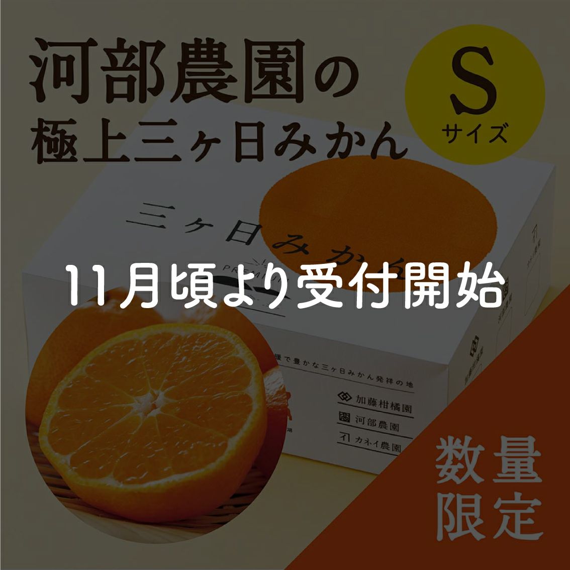 河部農園の極上三ヶ日みかん 早生(S) 5kg