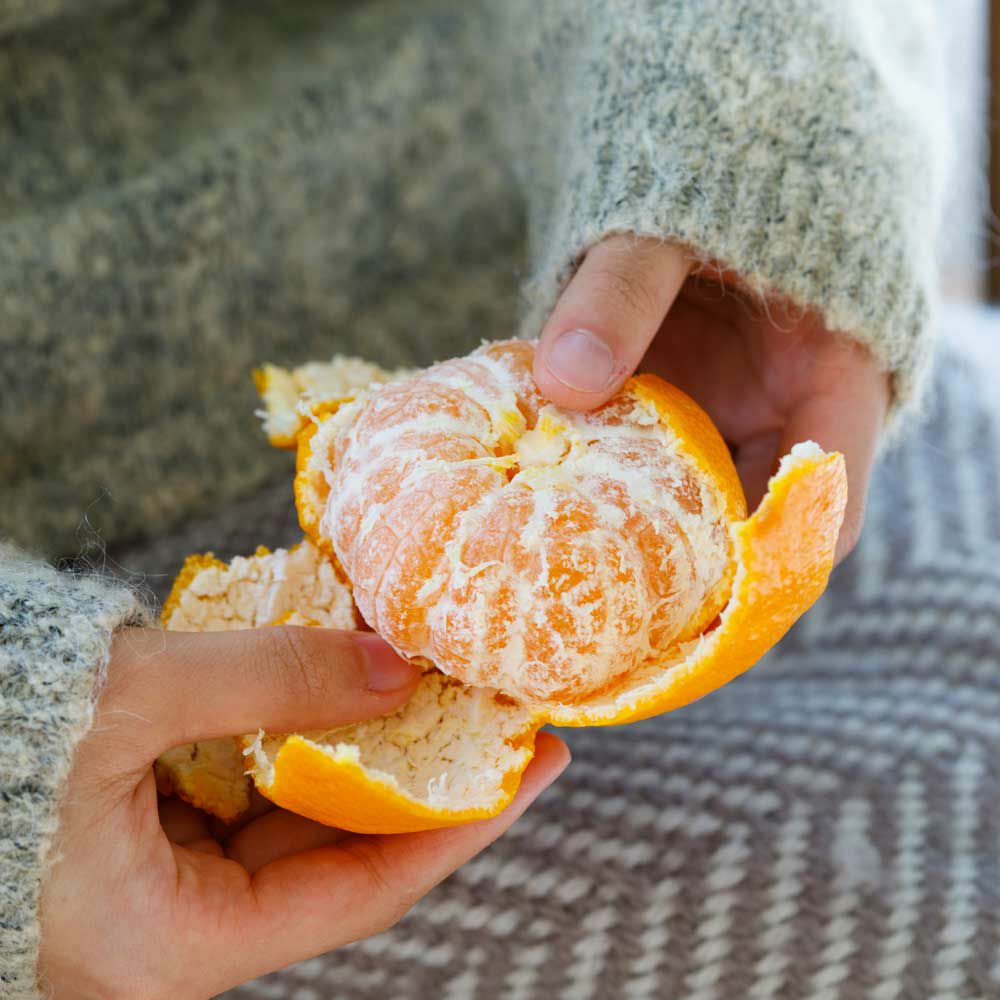 【早い者勝ち！】計36枚グミッツェル24枚＆mofuwa12枚 Amazon | ヒトツブカンロ グミッツェル 6個セット | ヒトツブカンロ