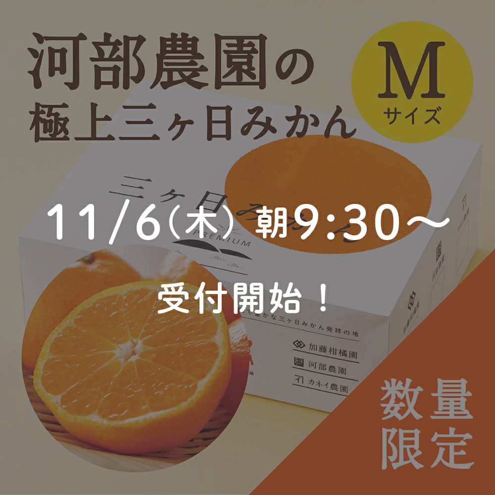 河部農園の極上三ヶ日みかん Mサイズ