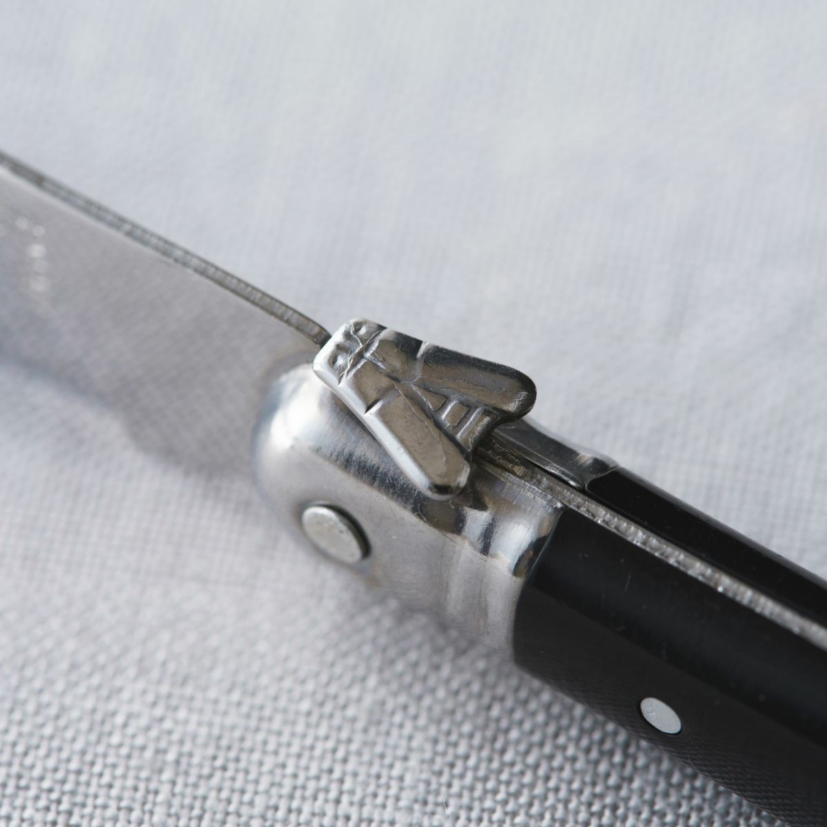 ライヨール バターナイフ（Jean Dubost/ジャン・デュポ）