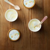 やさしい気持ちのはちみつミルクジェラートの通販｜はちみつ専門