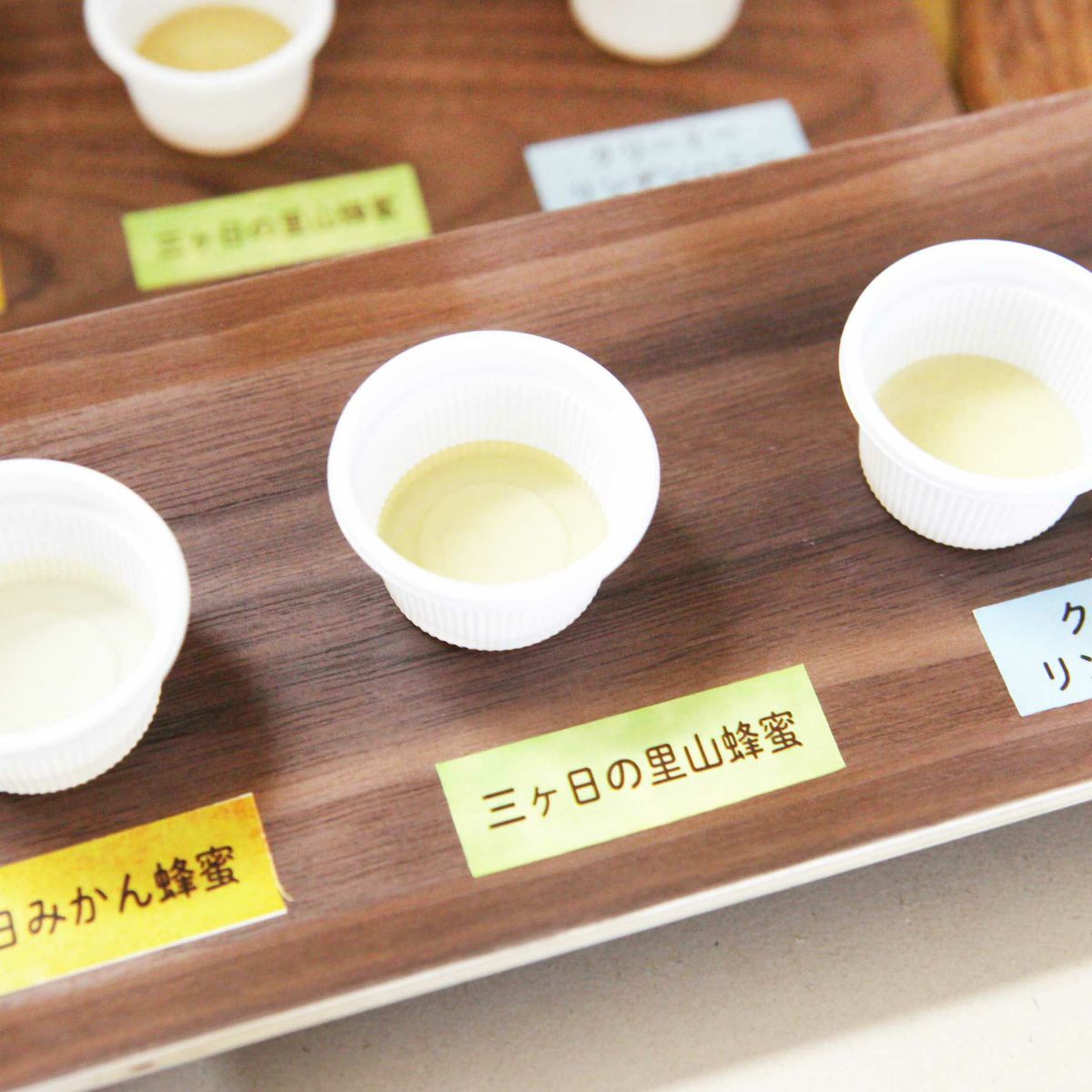 【三ヶ日本店開催】親子はちみつのある暮らし教室 6月24日(土) 10:00開始