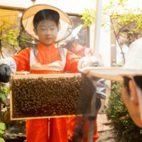 夏休み子ども採蜜体験教室7月15日(土) 9:30開始〔1日目・第一講演〕