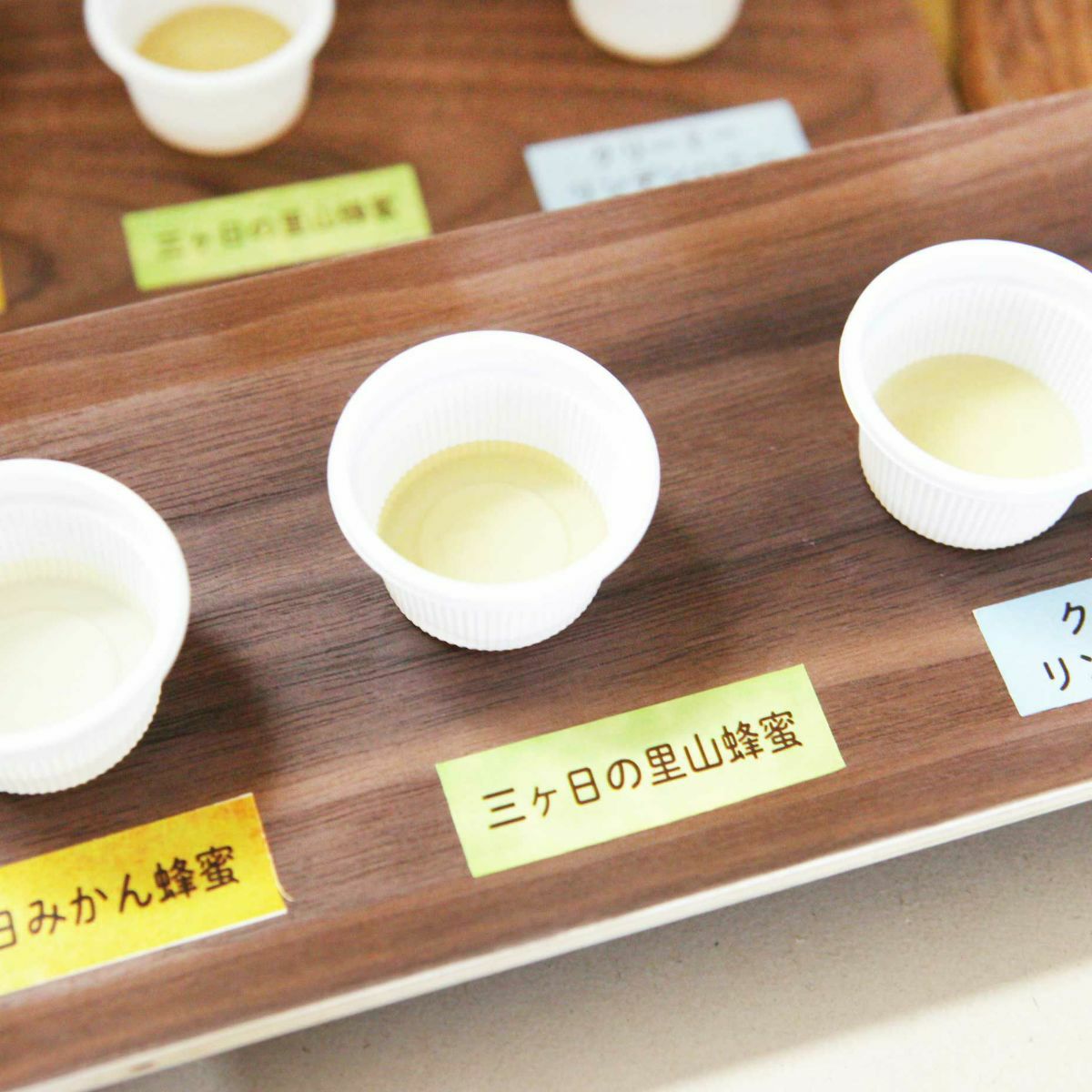 【三ヶ日本店開催】はちみつのある暮らし教室 9月30日(土) 10:00開始