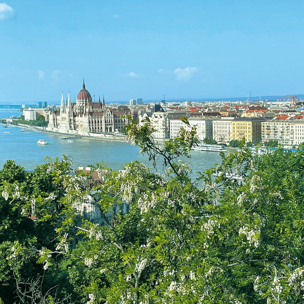 三代目の蜂蜜 165g