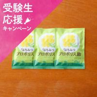 【WEB限定】はちみつプロポリス飴 3袋セット