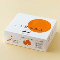 【WEB限定】ポンカン 5kg