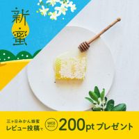 ラグジュアリーコムハニー 三ヶ日みかん巣蜜〔カットタイプ〕