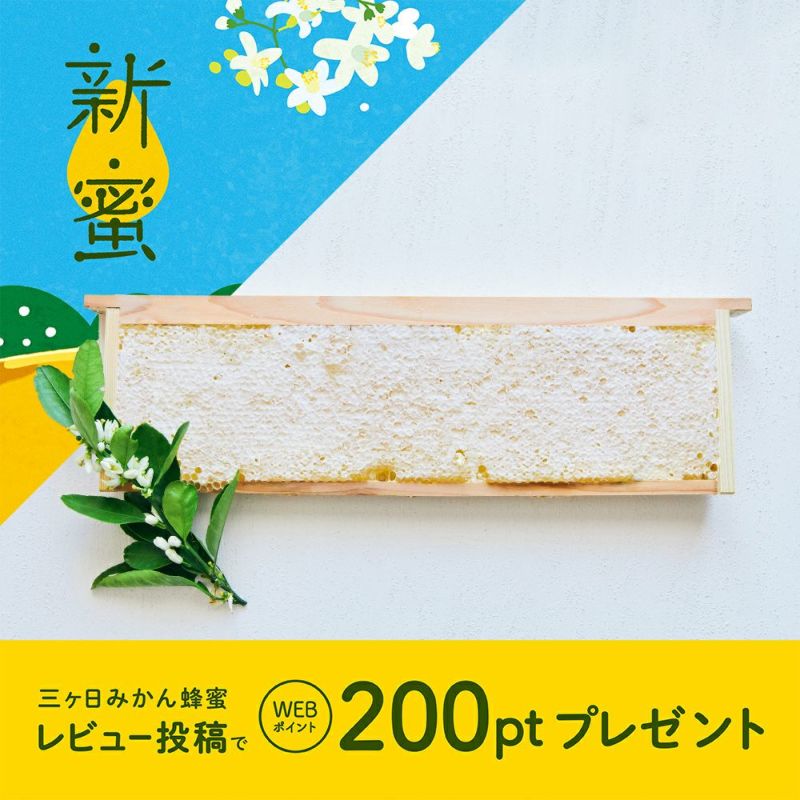 ラグジュアリーコムハニー 三ヶ日みかん巣蜜〔1枚タイプ〕