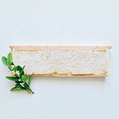 うさかめ　巣蜜と蜂蜜とおまけ 楽天市場】在庫処分セール（巣蜜・コムハニー｜はちみつ・ハニー