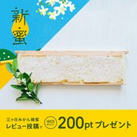 ラグジュアリーコムハニー 三ヶ日みかん巣蜜〔1枚タイプ〕