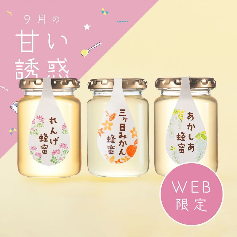  【WEB限定】国産はちみつ3本セット