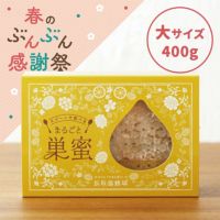 スプーンで食べるまるごと巣蜜 400g