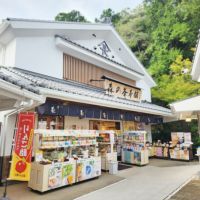 はちみつ和紅茶＆はちみつルイボスティーセット