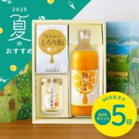 ④夏にうれしい元気ギフト