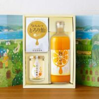 ④夏にうれしい元気ギフト