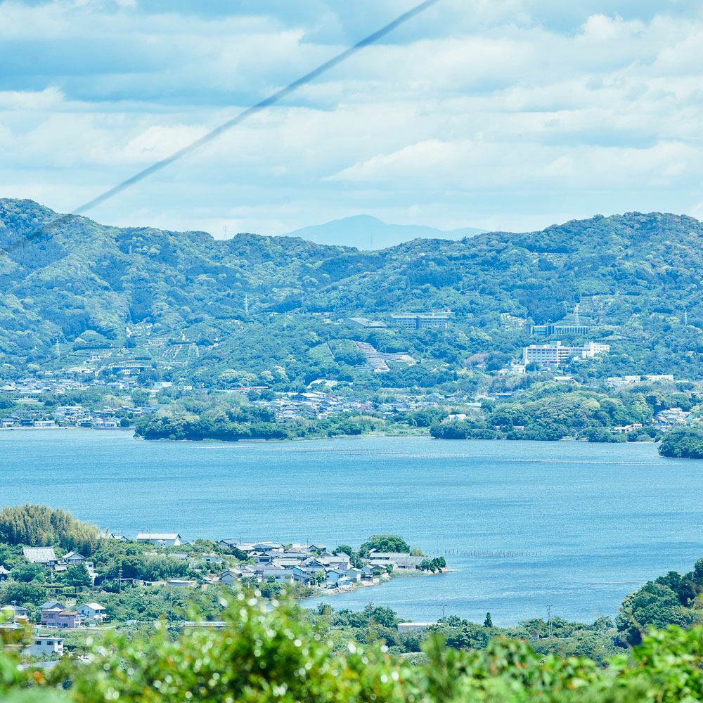 【WEB限定】三ヶ日みかんのハニージュレ 10個セット