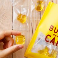  【感謝価格】三ヶ日の里山蜂蜜感謝セット
